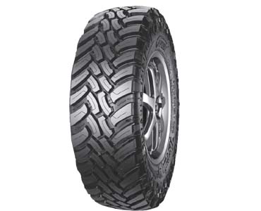 Tires Companies and Manufacturers in Botswana